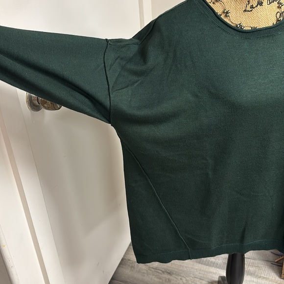 Wonderly Dark Green Raglan Sweater Petite - Picture 2 of 8